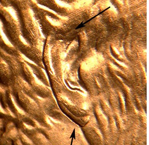 1997-LMC-Double-Ear-?